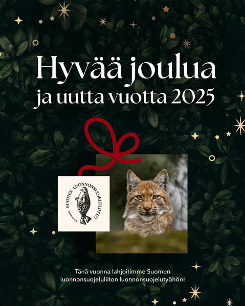 Kiitos antoisasta vuodesta ja hyvää joulua!